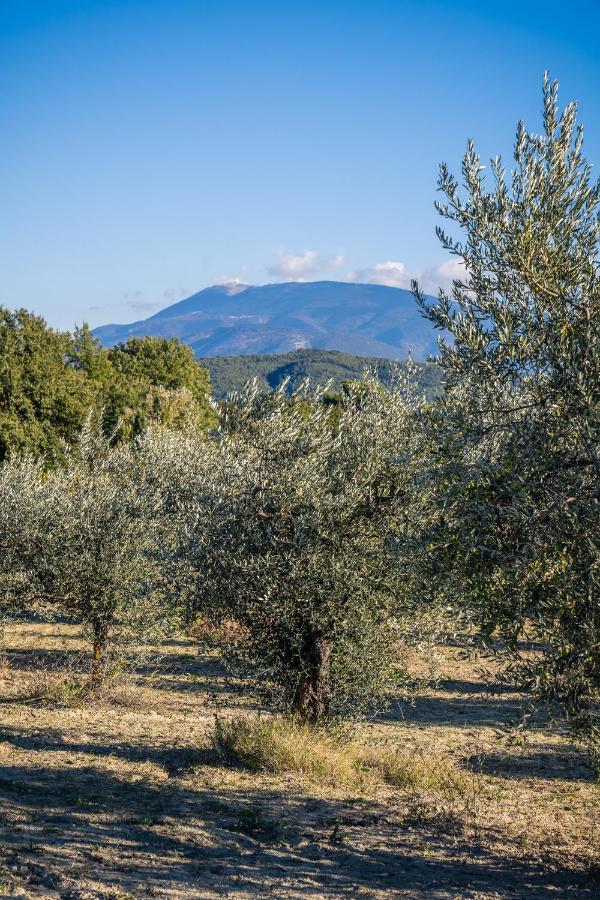 Gite "La Sainte-Croix", Traditional Provencal House For 8 People, Private Swimming-Pool, Air-Conditioner, Beautiful Scenery Vaison-la-Romaine Dış mekan fotoğraf