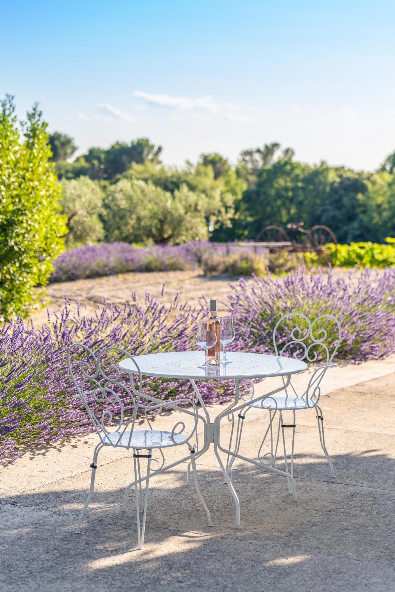 Gite "La Sainte-Croix", Traditional Provencal House For 8 People, Private Swimming-Pool, Air-Conditioner, Beautiful Scenery Vaison-la-Romaine Dış mekan fotoğraf