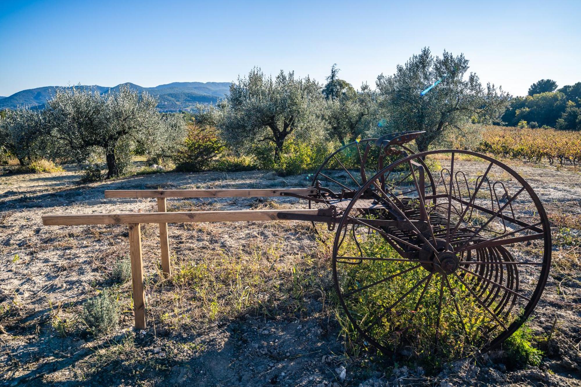 Gite "La Sainte-Croix", Traditional Provencal House For 8 People, Private Swimming-Pool, Air-Conditioner, Beautiful Scenery Vaison-la-Romaine Dış mekan fotoğraf